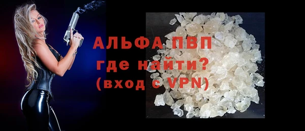 стафф Богданович