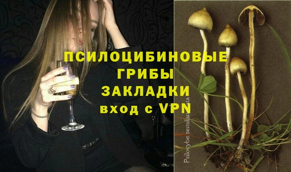 ешки Алзамай