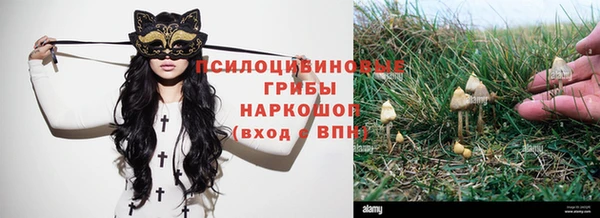 ешки Алзамай