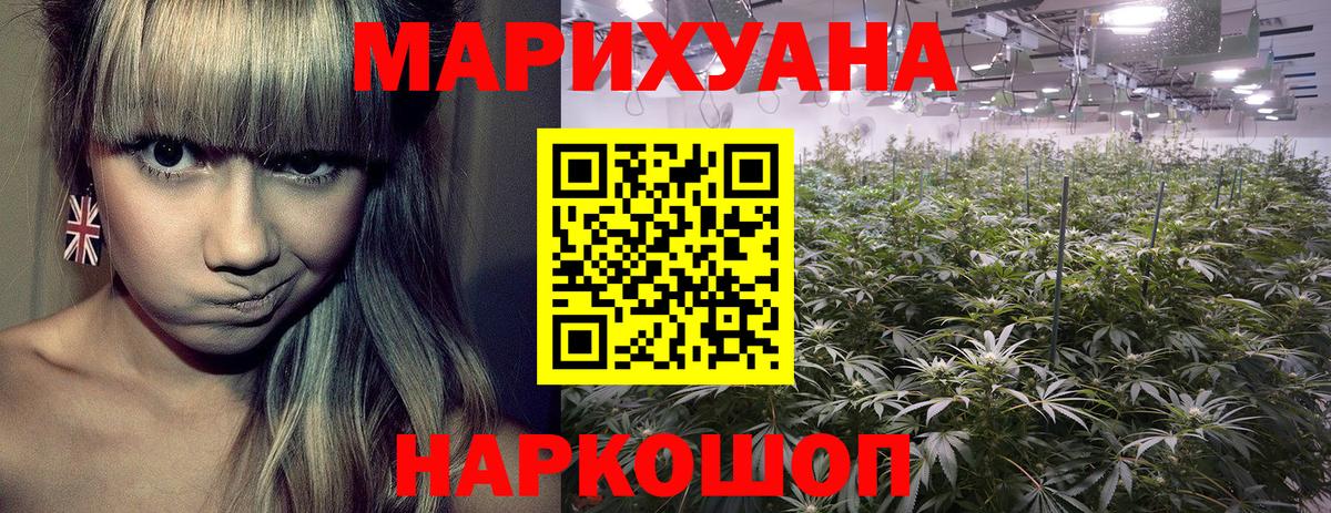Бошки марихуана White Widow  Вход с VPN  Бошки марихуана планчик  Богданович  Каннабис OG Kush  Бошки марихуана Amnesia 